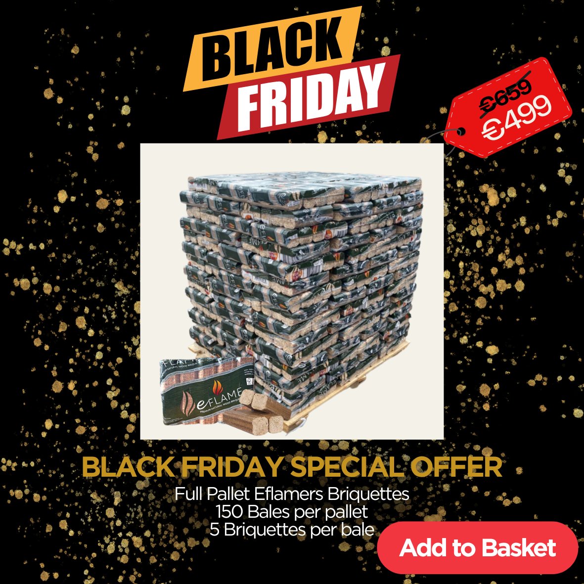 Black Friday Special Offer