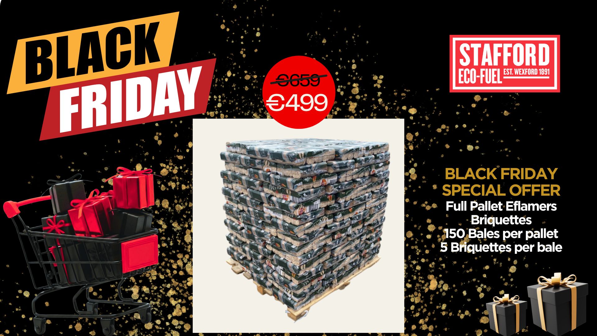 Black Friday Special Offer